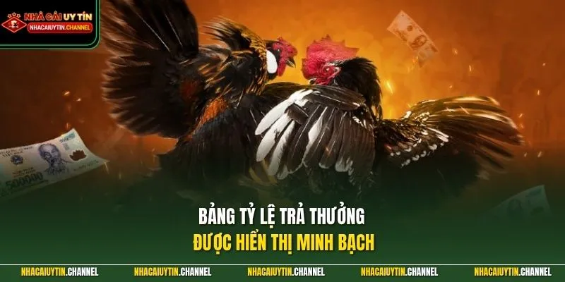 Bảng tỷ lệ trả thưởng được hiển thị minh bạch